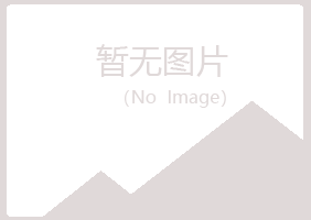 兴安盟夏岚咨询有限公司